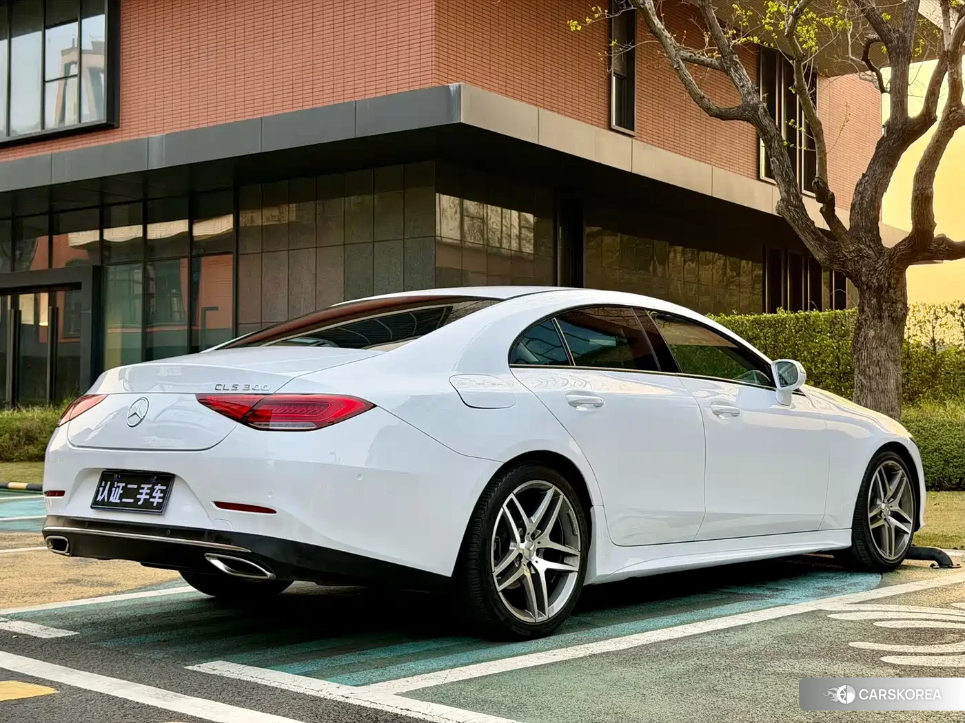 Mercedes-Benz CLS 2021 Белый из Китая, фото 2