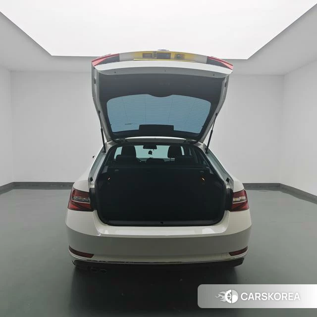 Skoda Speed pie 2018 Белый из Китая, фото 2