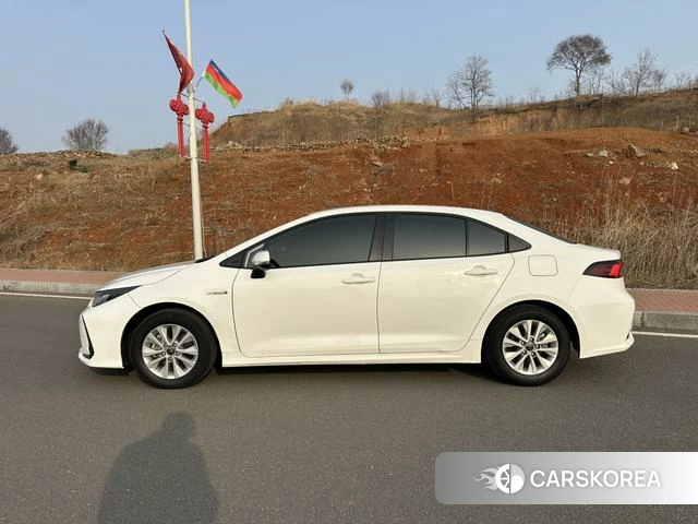 Toyota Corolla 2023 Белый из Китая, фото 2