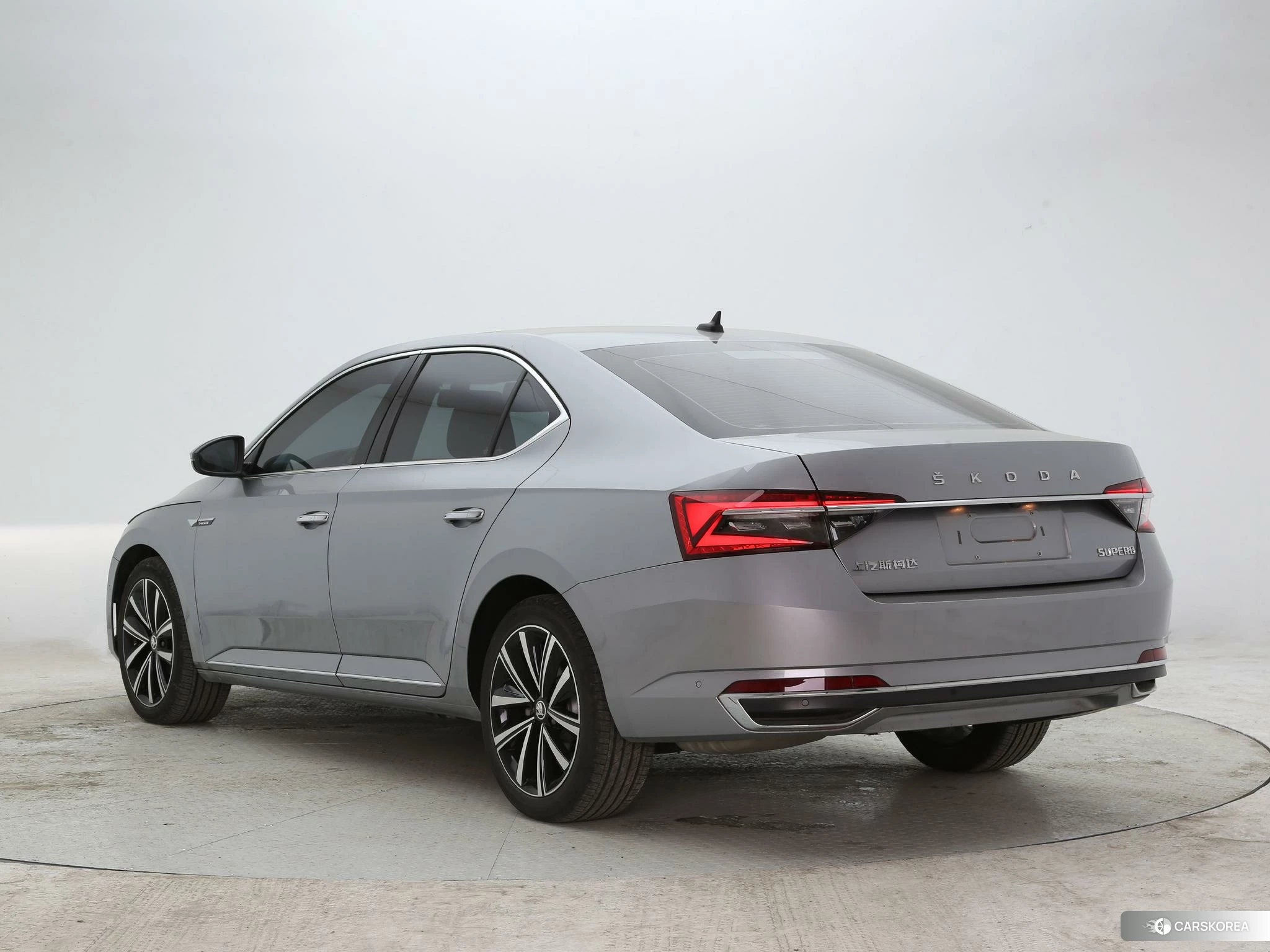 Skoda Speed pie 2023 Серебристо-серый из Китая, фото 3