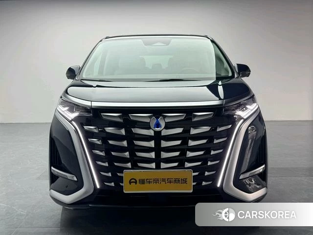 Denza D9 DM 2023 Синий из Китая, фото 3