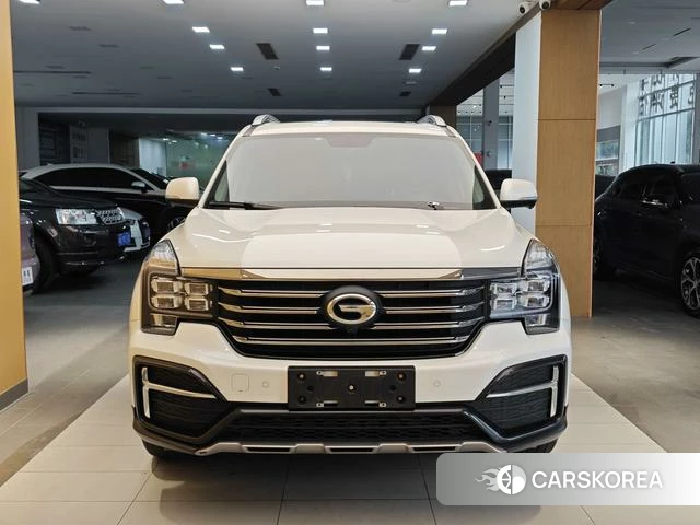 GAC Trumpchi Trumpchi GS8 2020 Белый из Китая, фото 3
