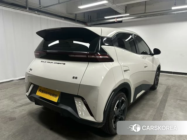 BYD Seagull 2024 Белый из Китая, фото 3