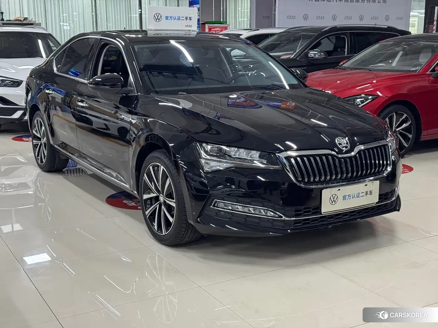 Skoda Speed pie 2024 Черный из Китая, фото 3