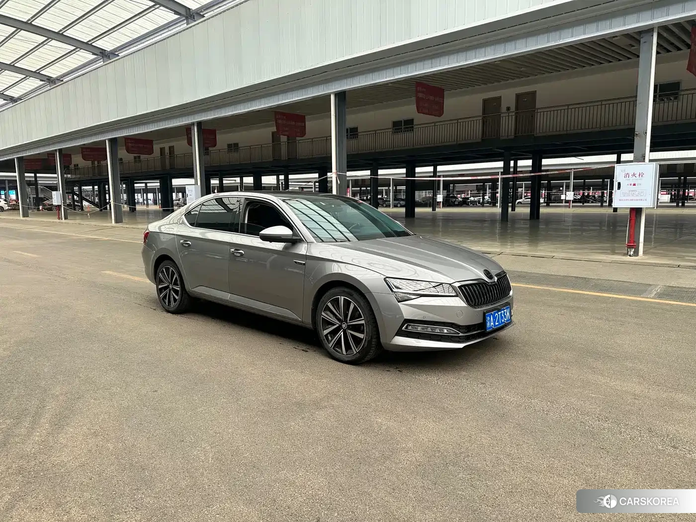 Skoda Speed pie 2022 Silver/gray из Китая, фото 3