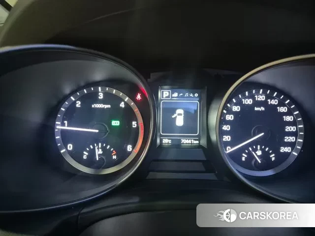 Hyundai Santa Fe The Prime 2018 Цвет тростника из Кореи, фото 3