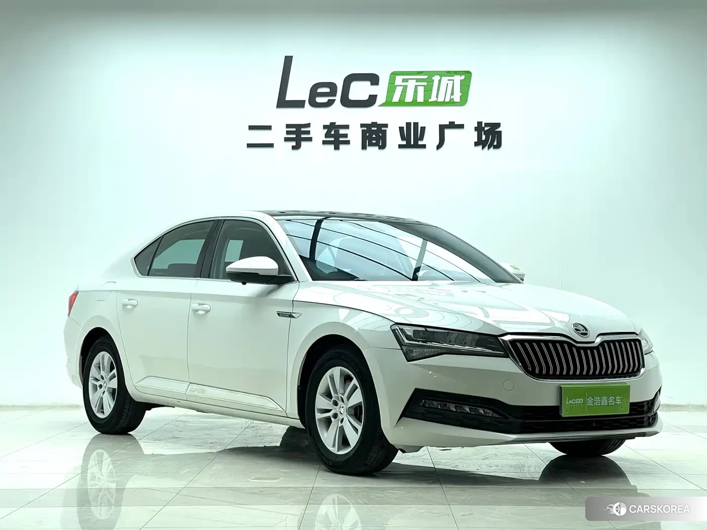 Skoda Speed pie 2022 Белый из Китая, фото 3