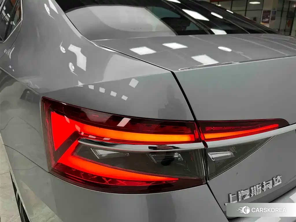 Skoda Speed pie 2024 Silver/gray из Китая, фото 3