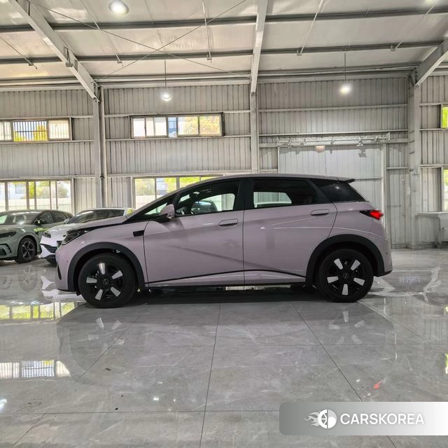 BYD dolphin 2025 Другой из Китая, фото 3