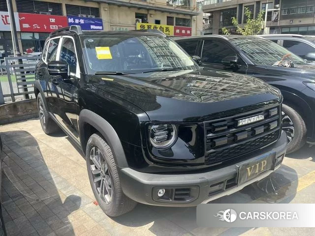 Haval Big dog 2026 Черный из Китая, фото 3