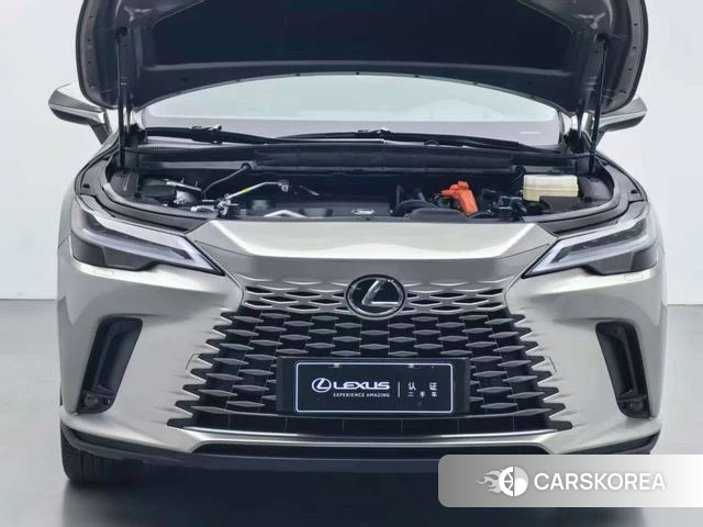 Lexus RX PHEV 2024 Темно-серый из Китая, фото 3