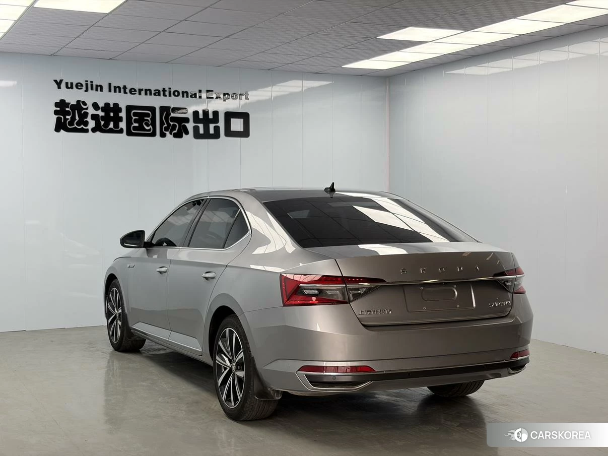 Skoda Speed pie 2023 Серебристо-серый из Китая, фото 3
