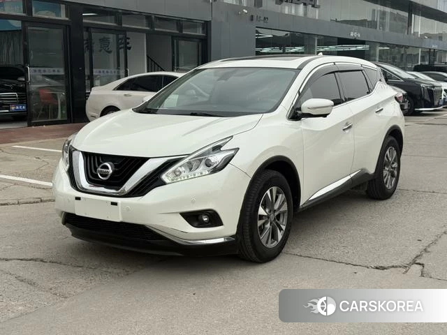 Nissan Loulan 2021 Белый из Китая, фото 3