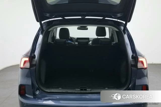 Ford Ruiji 2021 Синий из Китая, фото 3