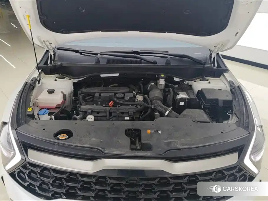 Kia Sportage 2023 Белый из Китая, фото 3