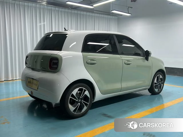Euler Black cat 2022 Другой из Китая, фото 3
