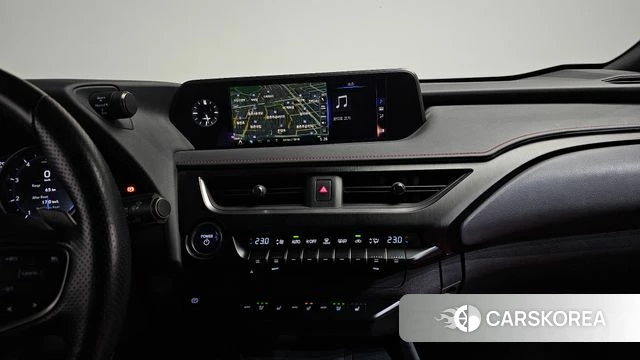 Lexus UX250h 2021 Серый из Кореи, фото 3