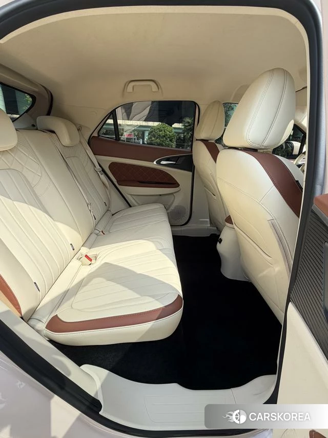 Euler Good cat 2023 Другой из Китая, фото 3