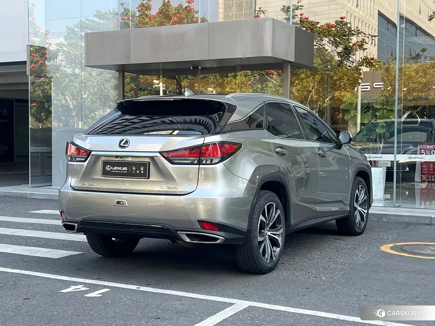 Lexus RX 2022 Champagne/brown из Китая, фото 3
