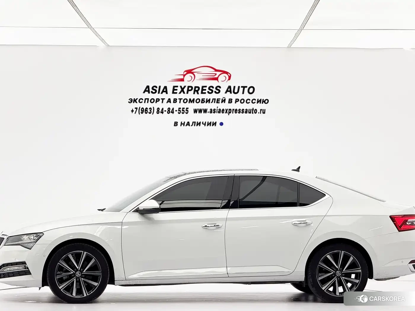 Skoda Speed pie 2023 Белый из Китая, фото 3