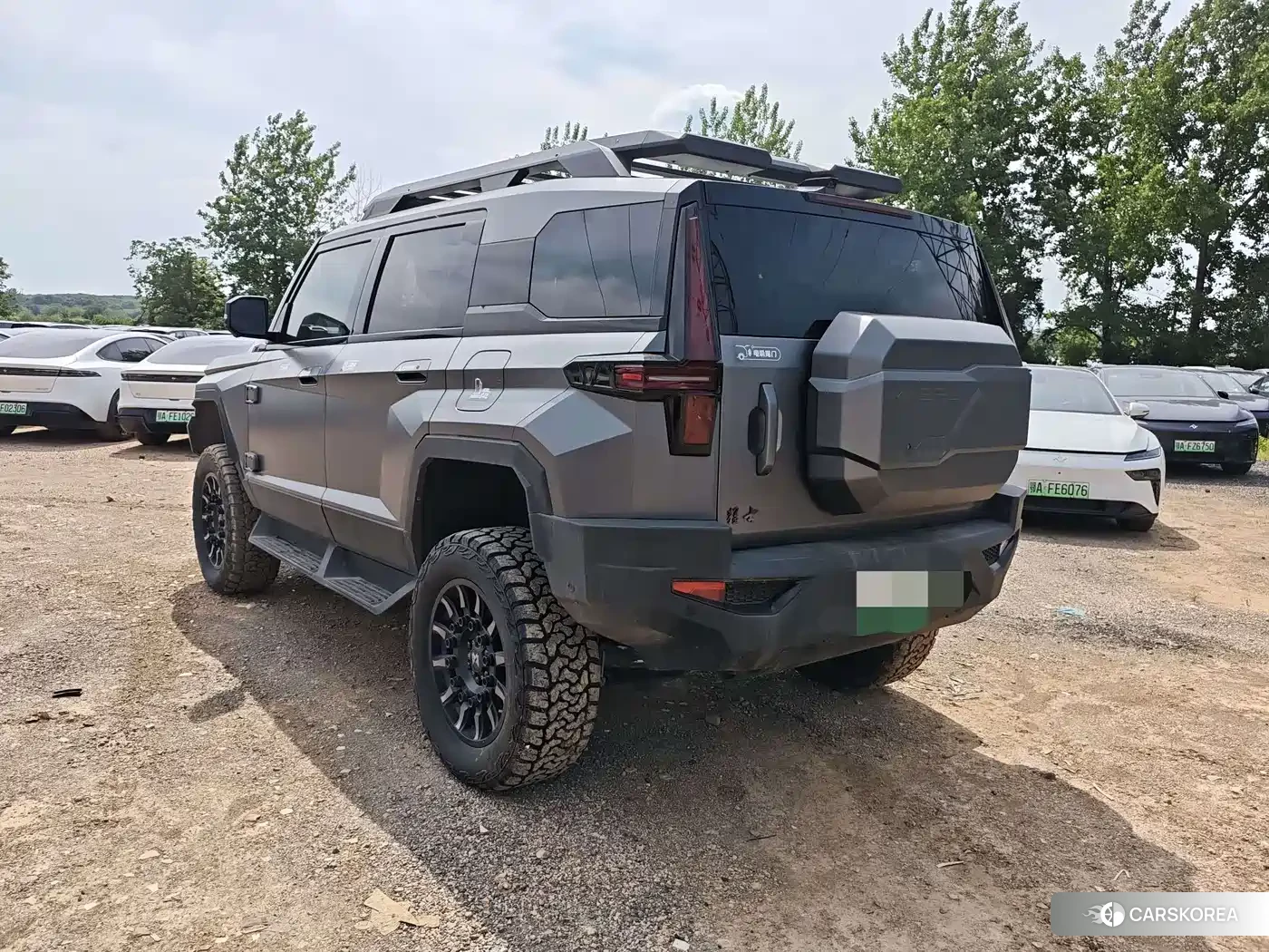 Warrior 917 2024 Silver/gray из Китая, фото 3