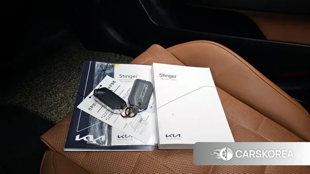 Kia Stinger Meister 2023 Серебристо-серый из Кореи, фото 3