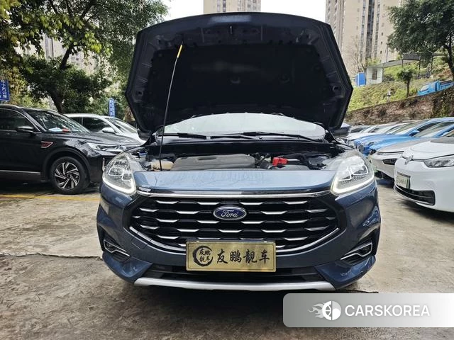 Ford Ruiji 2020 Синий из Китая, фото 3