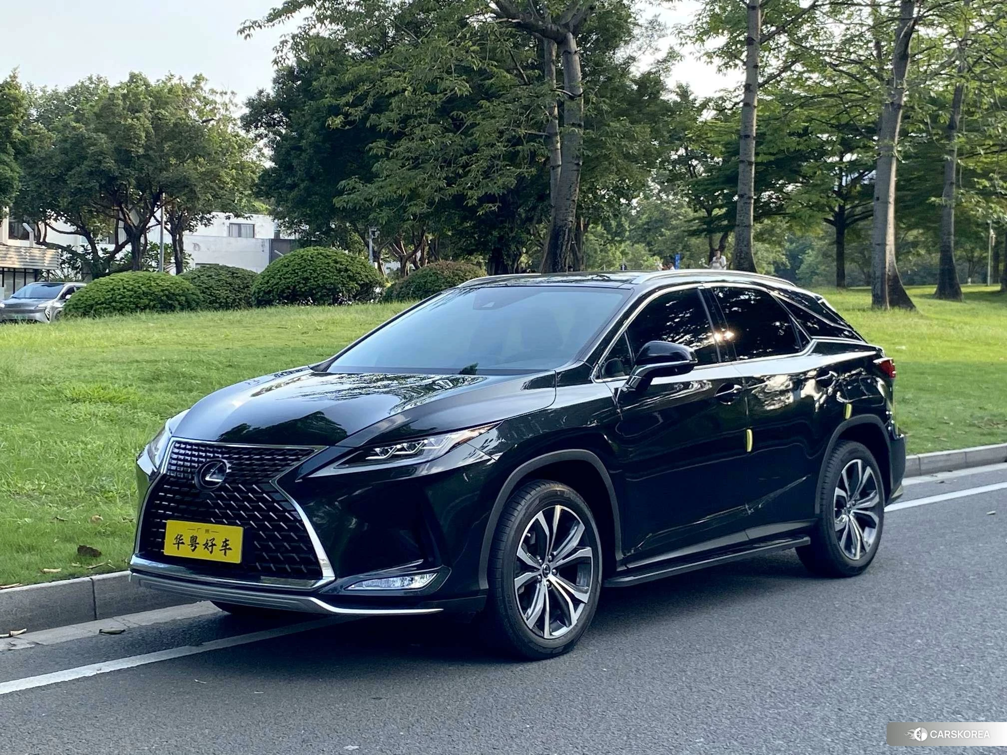 Lexus RX 2020 Черный из Китая, фото 3