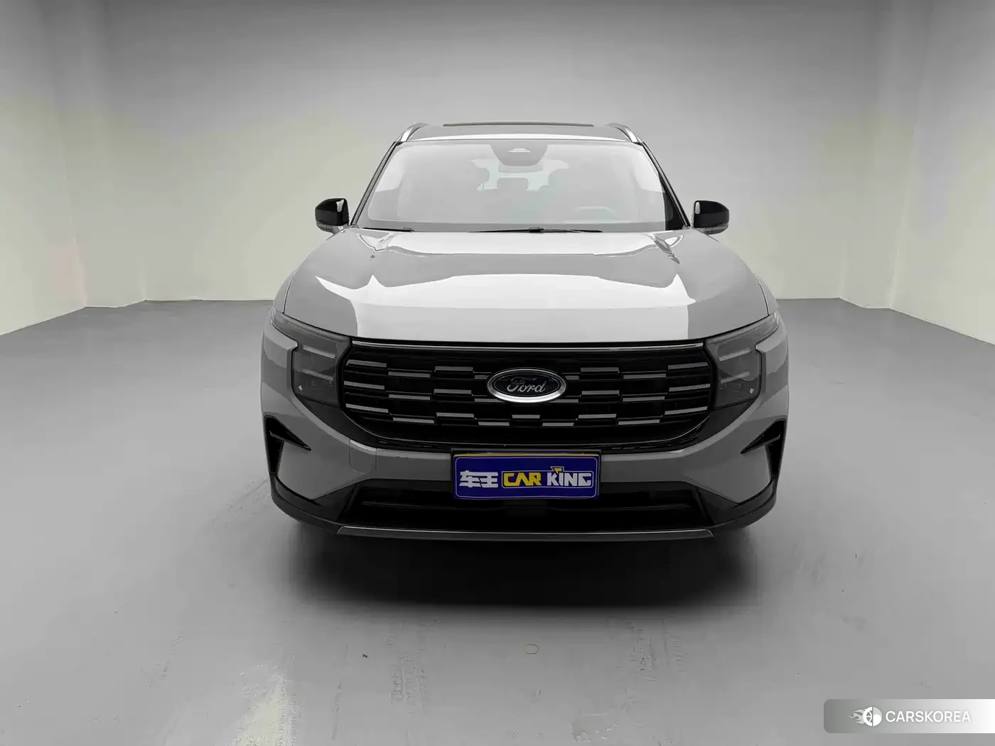 Ford Sharp World 2023 Silver/gray из Китая, фото 3
