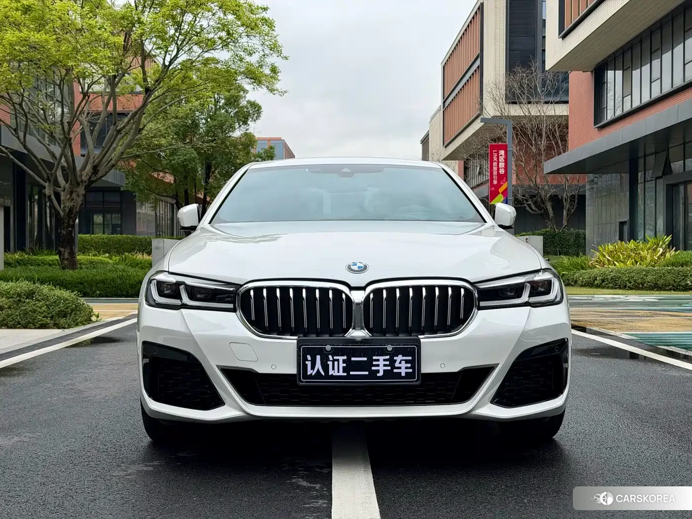 BMW 5 series 2021 Белый из Китая, фото 3