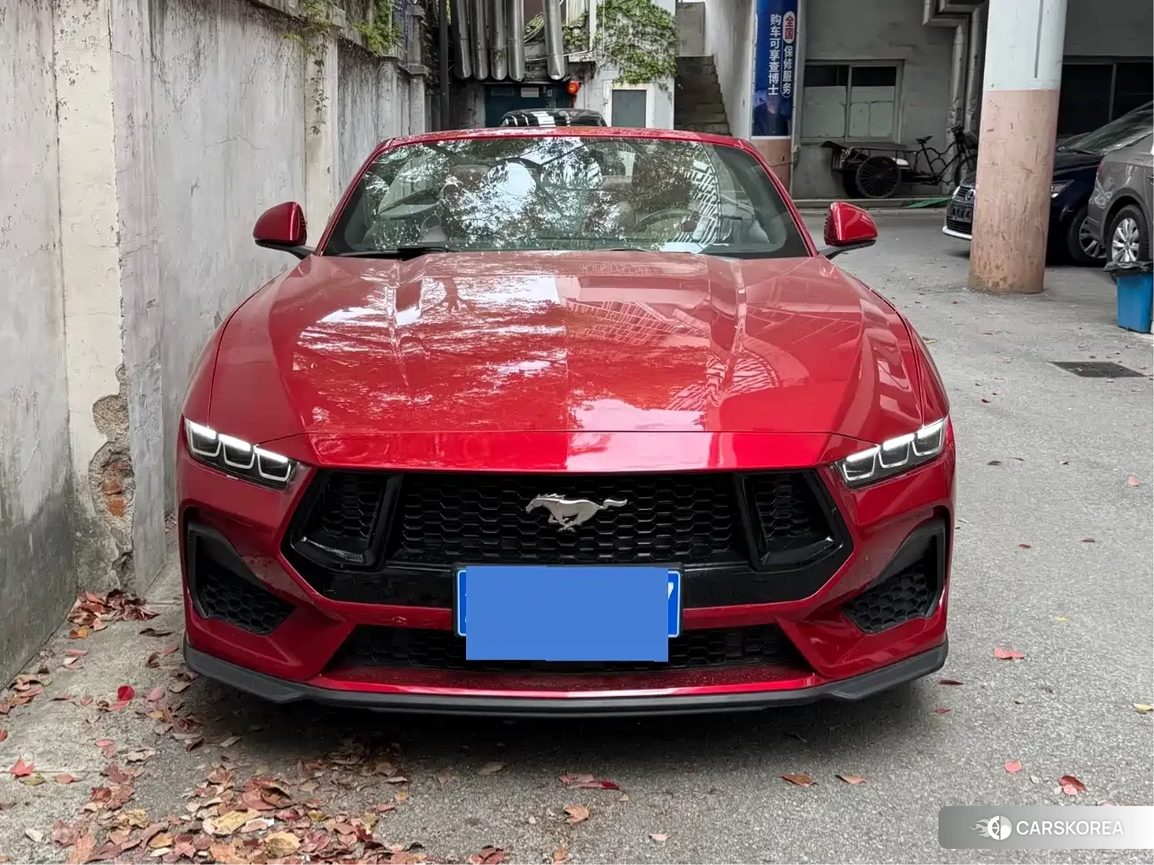 Ford Mustang 2025 Red/purple из Китая, фото 4