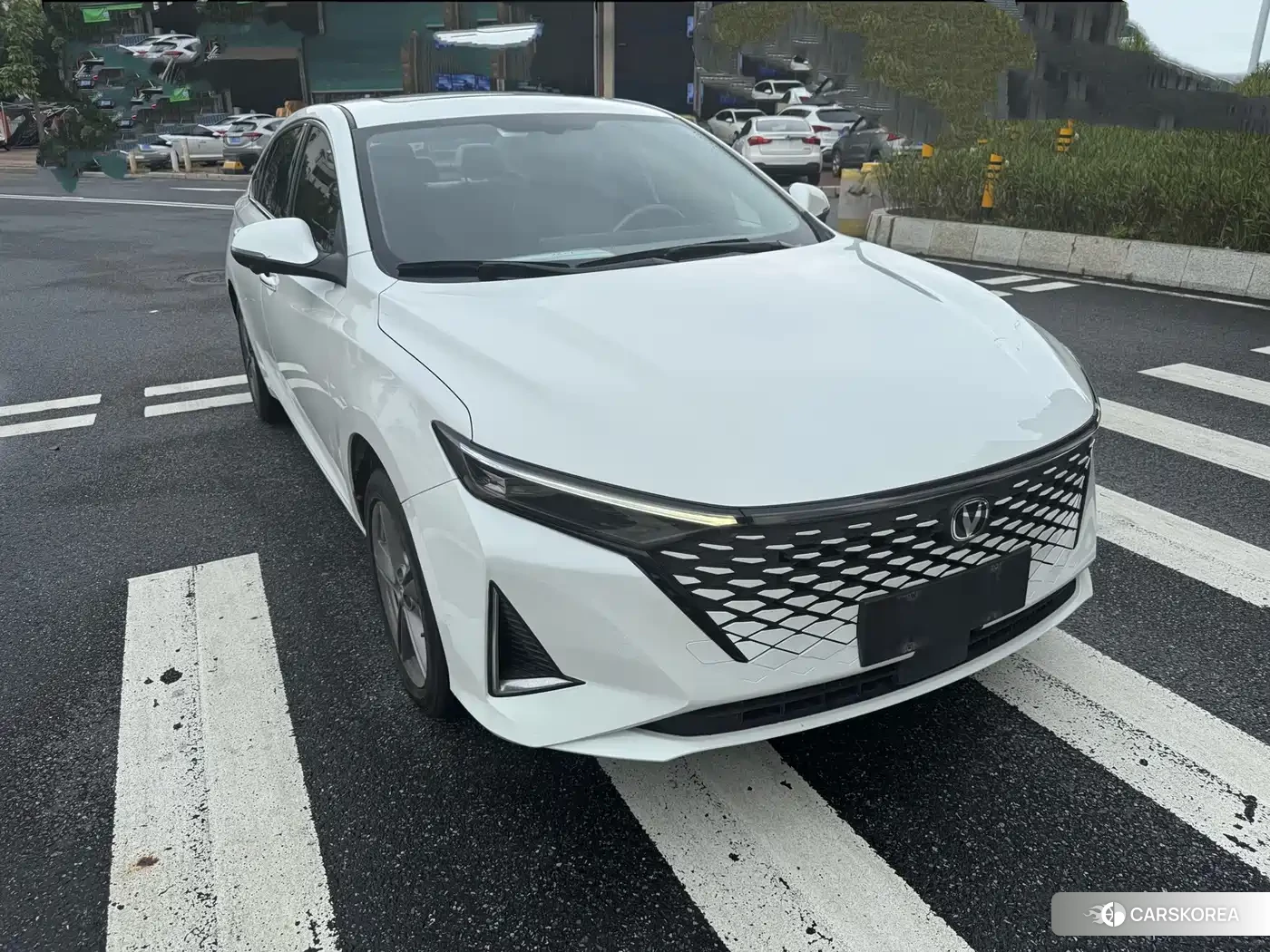 Chang'an Ruicheng PLUS 2023 Белый из Китая, фото 4