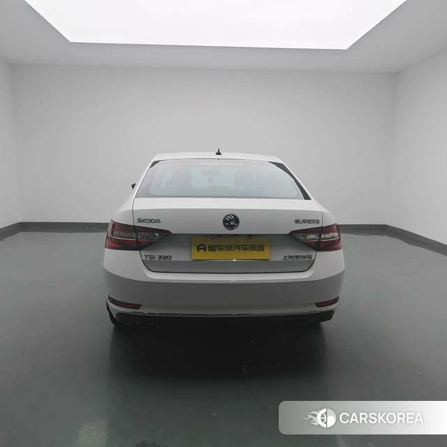 Skoda Speed pie 2018 Белый из Китая, фото 3