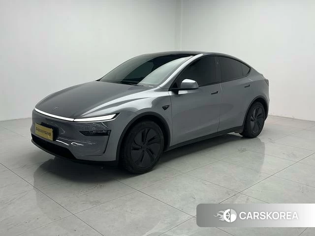 Tesla Model Y 2025 Серебристо-серый из Китая, фото 3