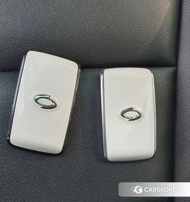 Renault Korea (Samsung) The New QM6 2020 Жемчужный цвет из Кореи, фото 3