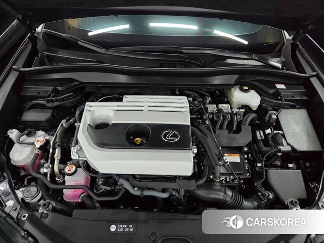 Lexus UX250h 2023 Серый из Кореи, фото 3