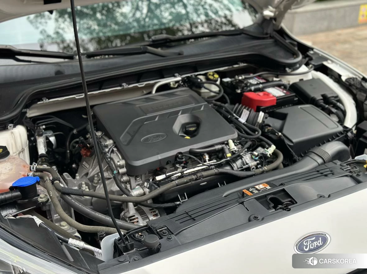 Ford Fox 2020 Белый из Китая, фото 3