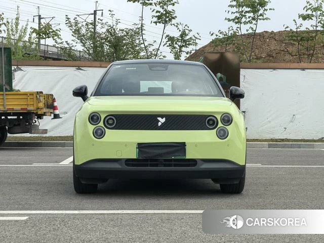 firefly firefly Unknown 2025 Зеленый из Китая, фото 3