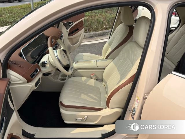 Euler Good cat 2023 Другой из Китая, фото 3