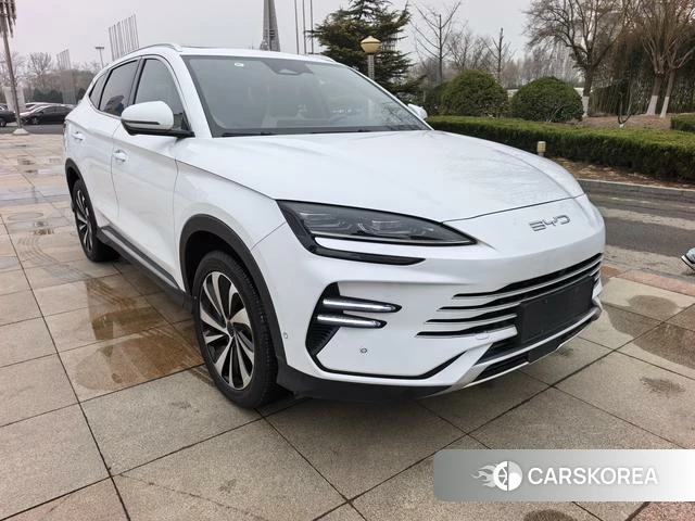 BYD Song PLUS DM 2026 Белый из Китая, фото 3