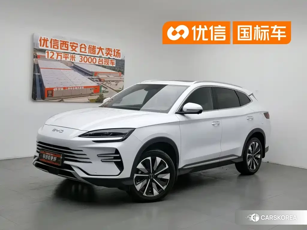 BYD Songjiang New Energy 2025 Белый из Китая, фото 3