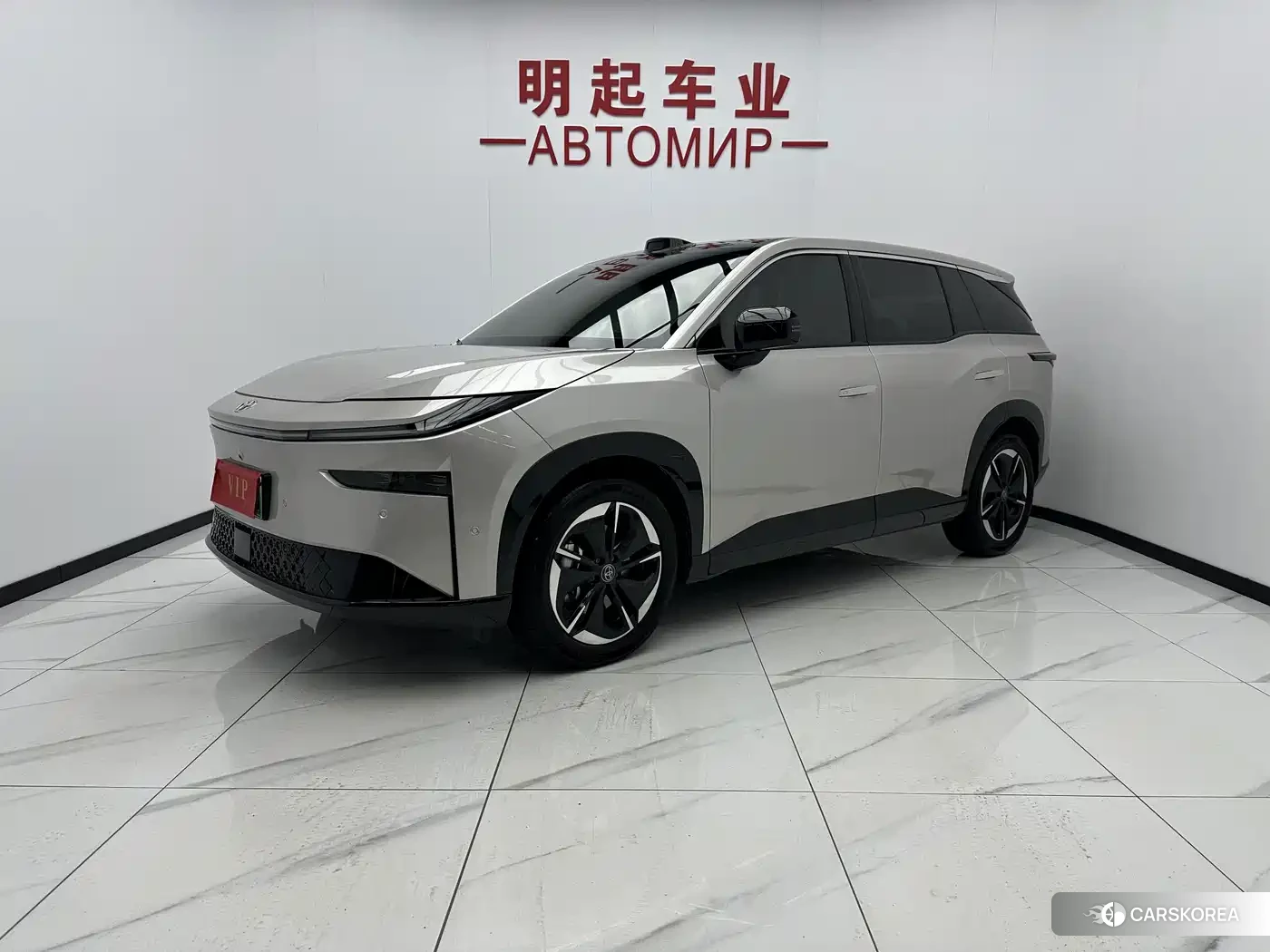 Toyota Platinum Wisdom 3X 2025 Silver/gray из Китая, фото 3