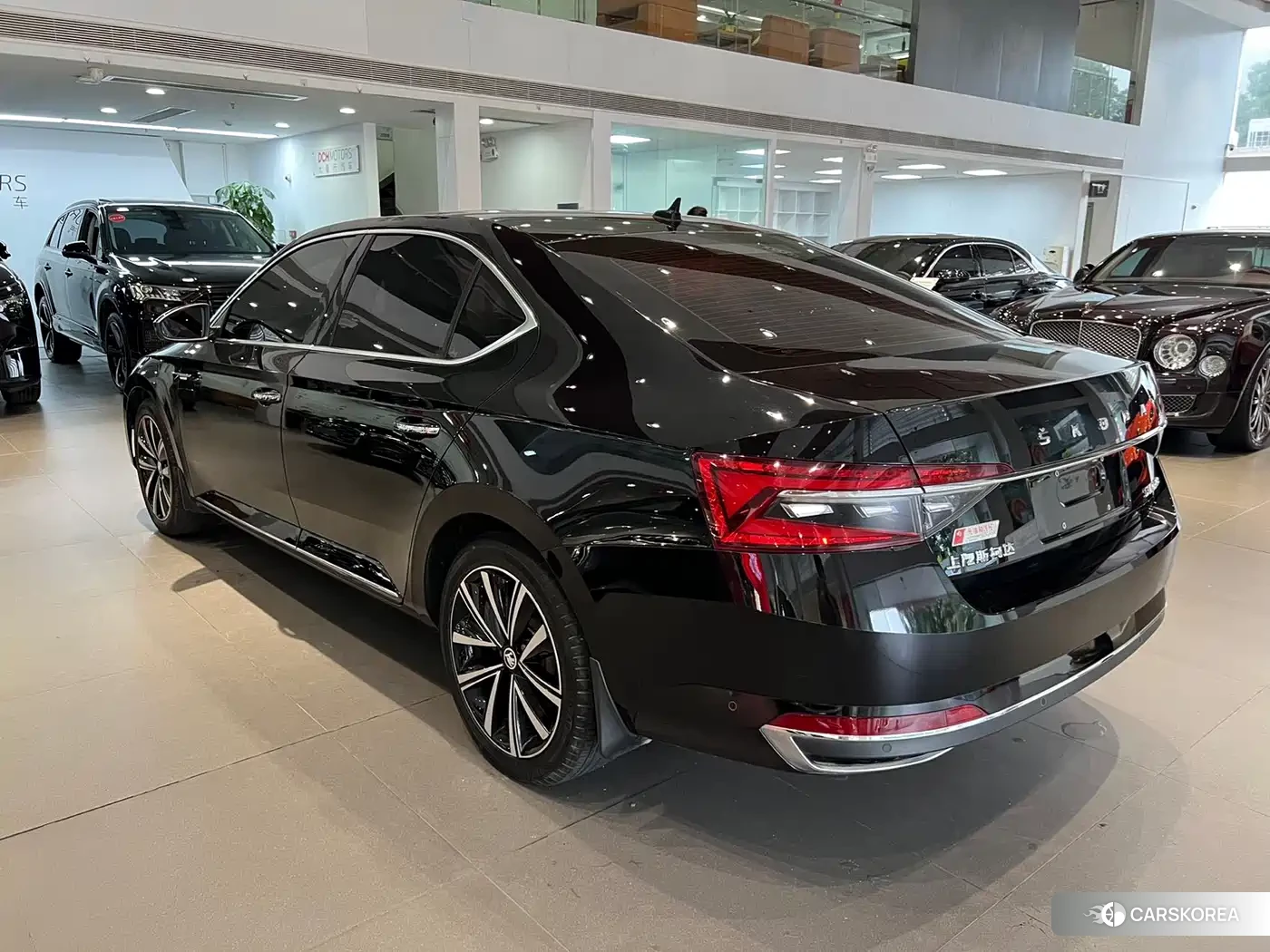 Skoda Speed pie 2023 Черный из Китая, фото 3