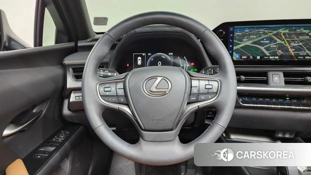 Lexus UX300h 2025 Серый из Кореи, фото 3