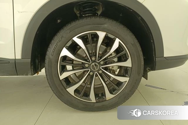 Roewe RX5 MAX 2021 Белый из Китая, фото 3