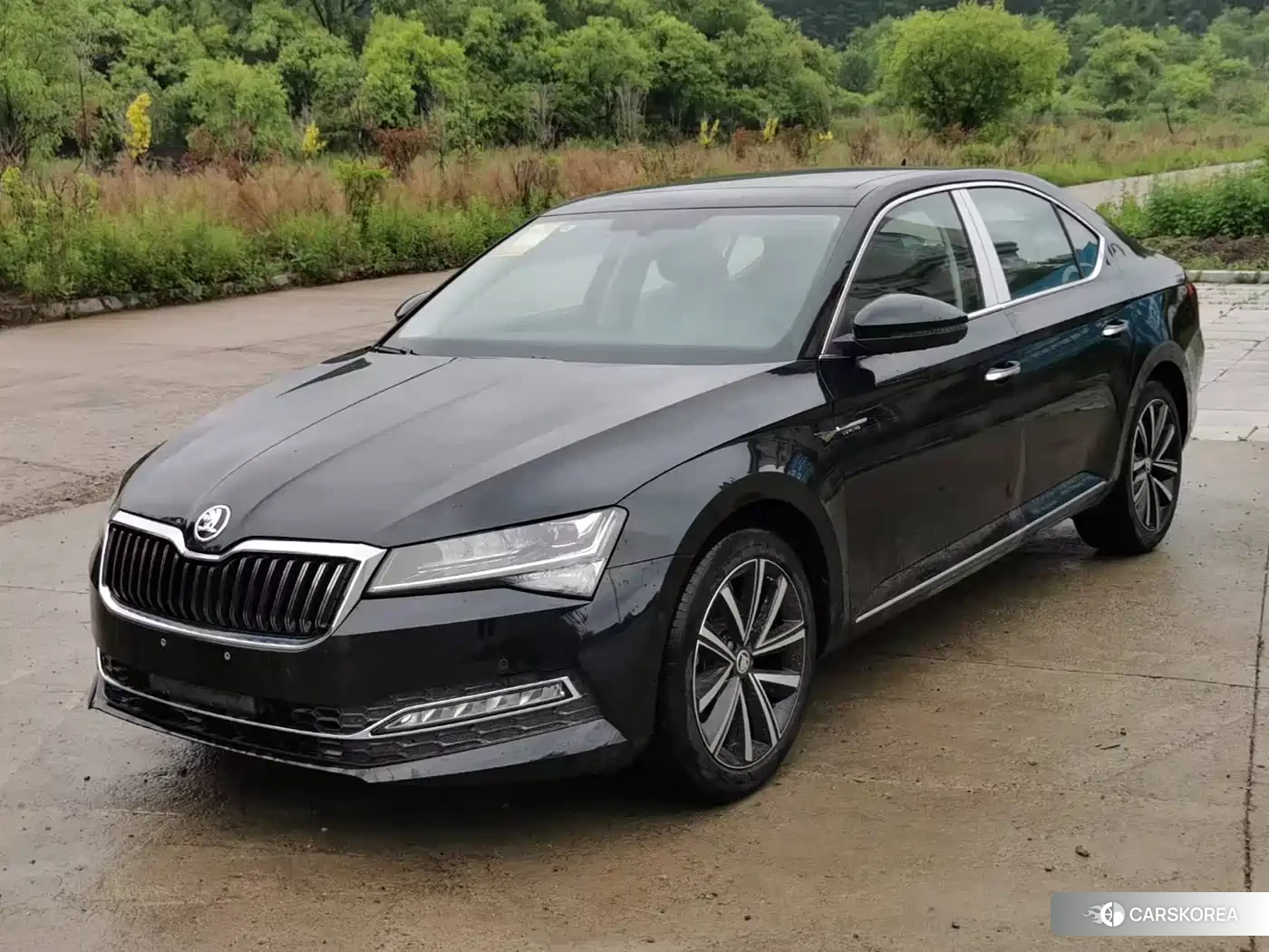 Skoda Speed pie 2026 Черный из Китая, фото 3