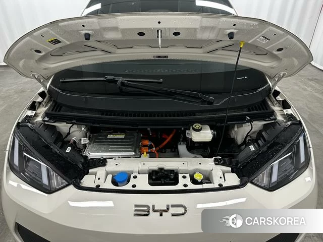 BYD Seagull 2025 Белый из Китая, фото 3