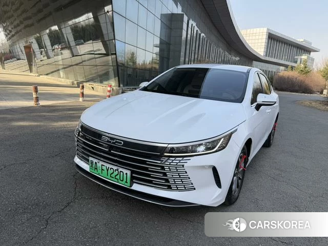 BYD Destroyer 05 2025 Белый из Китая, фото 3