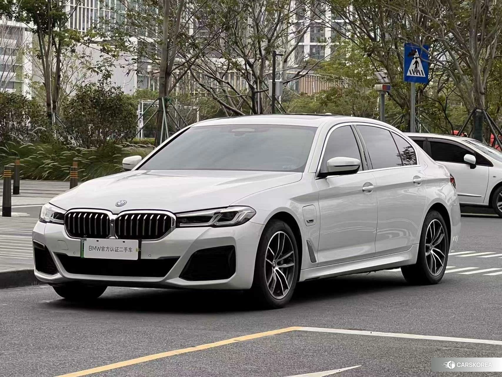 BMW 5 series PHEV 2021 Белый из Китая, фото 3
