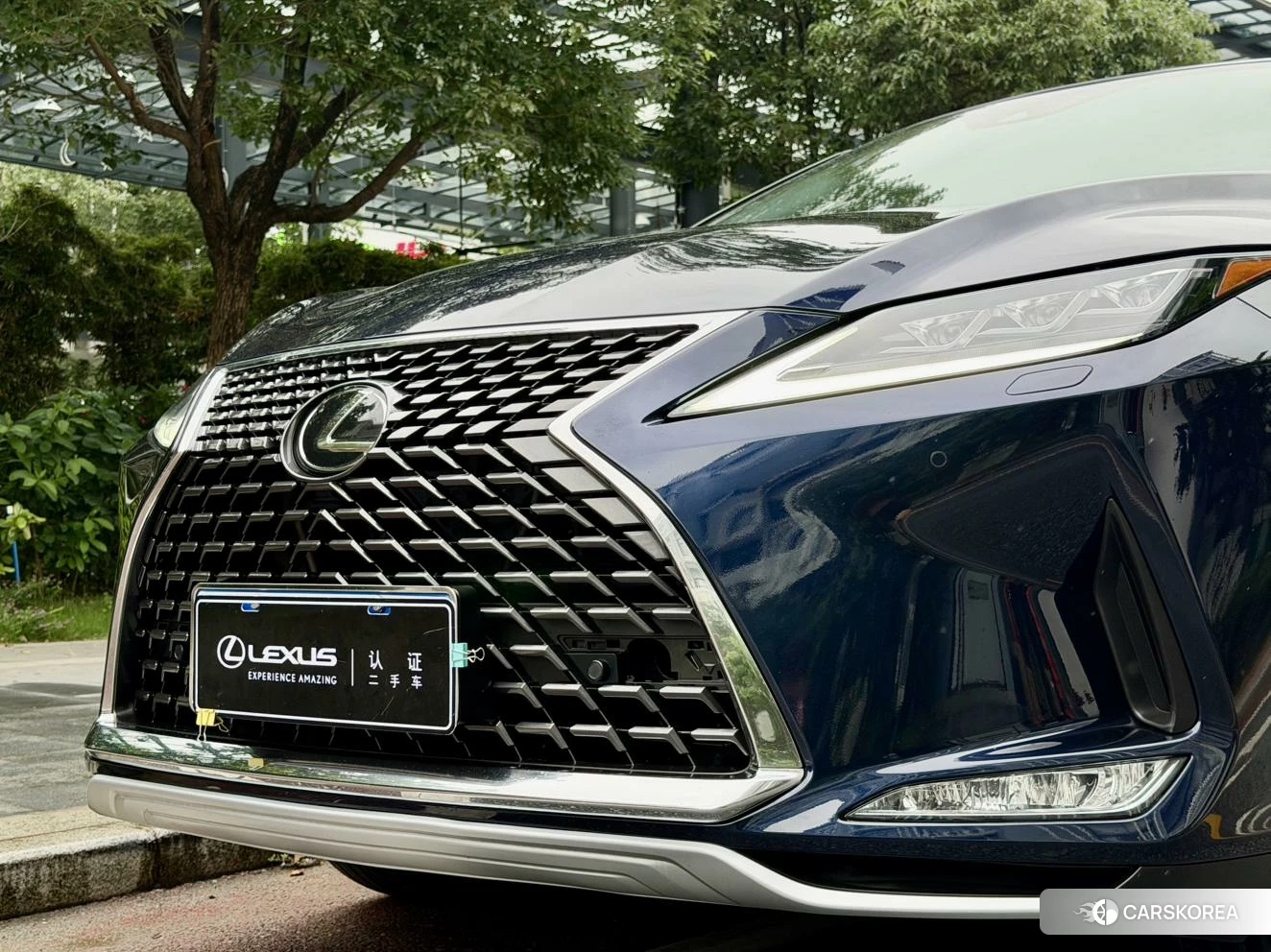 Lexus RX 2020 Синий из Китая, фото 3